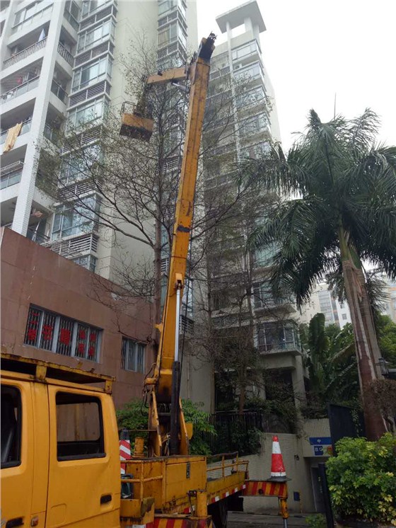 綠化修剪 綠化修剪