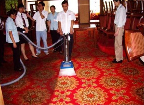 地毯清洗 地毯清洗
